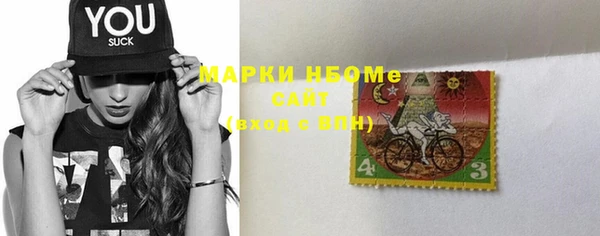 шишки Осинники