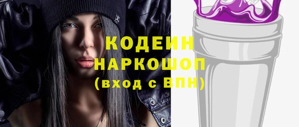шишки Осинники