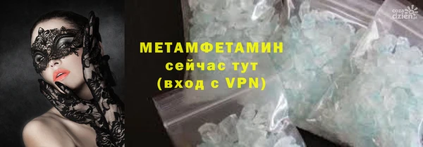 шишки Осинники