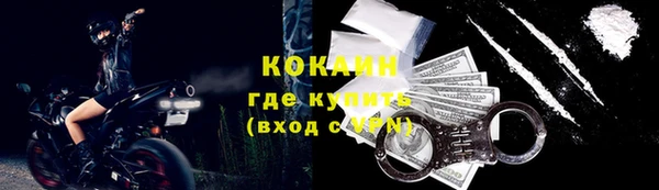 шишки Осинники