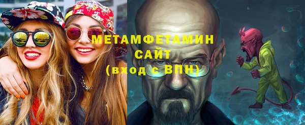 шишки Осинники