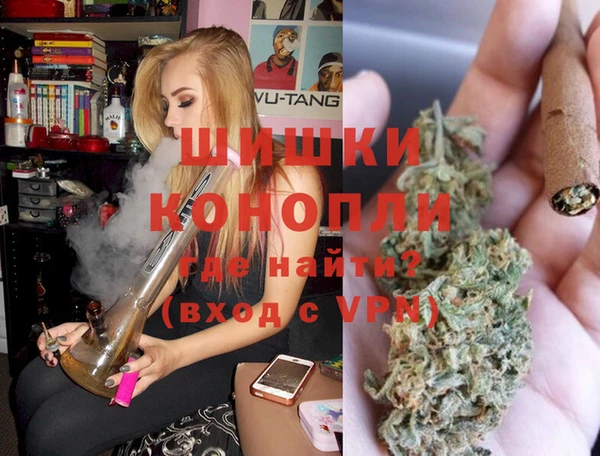 шишки Осинники