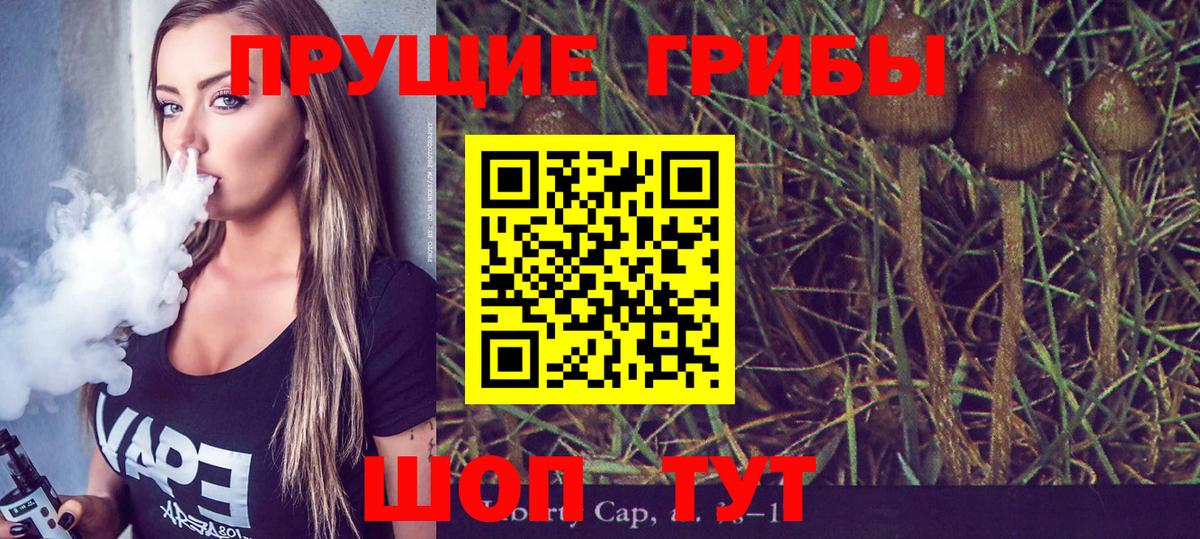 Галлюциногенные грибы мицелий  Псилоцибиновые грибы GOLDEN TEACHER  Кыштым  Вход с VPN 