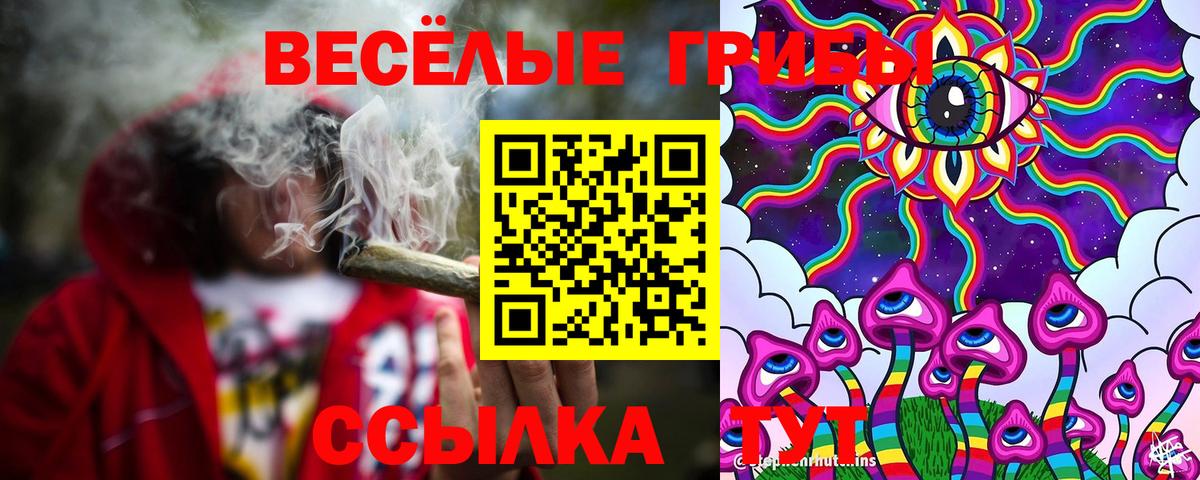Псилоцибиновые грибы прущие грибы Кыштым